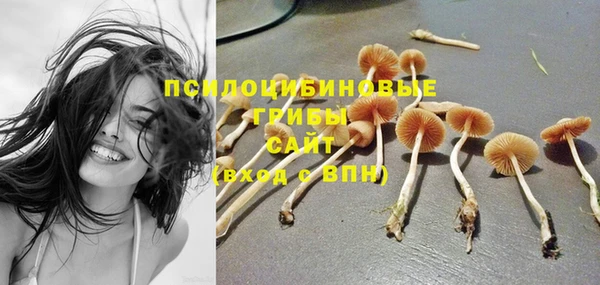 PSILOCYBIN Бородино